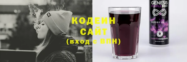 ГАЛЛЮЦИНОГЕННЫЕ ГРИБЫ Арсеньев