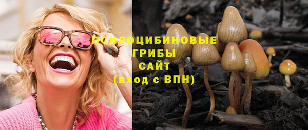 ГАЛЛЮЦИНОГЕННЫЕ ГРИБЫ Арсеньев