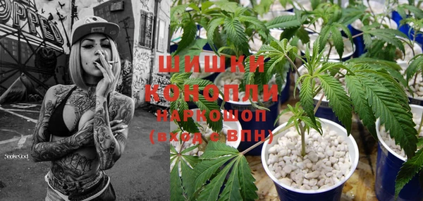 ГАЛЛЮЦИНОГЕННЫЕ ГРИБЫ Арсеньев